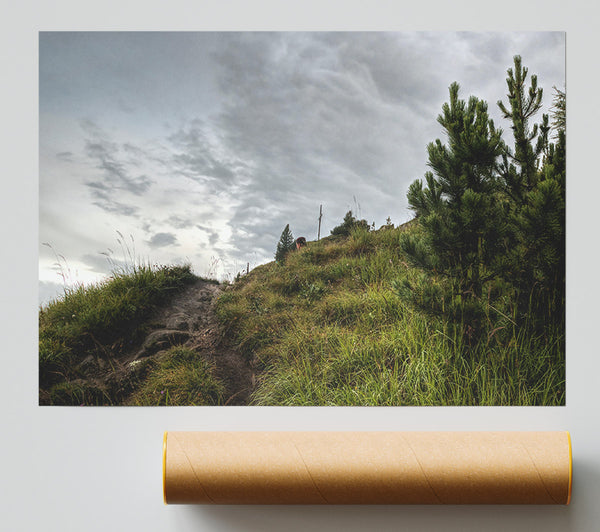 Green Grass Hillside Poster
