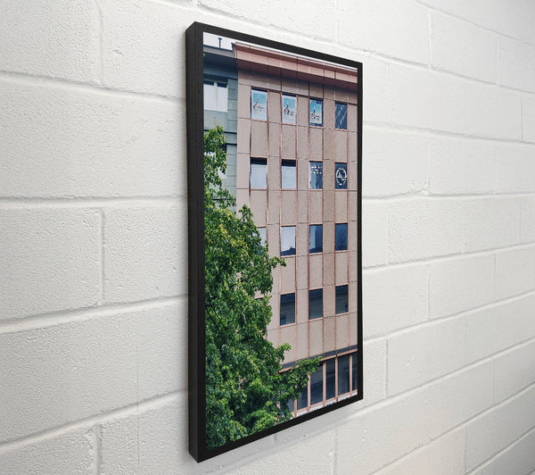 Beige Building Windows