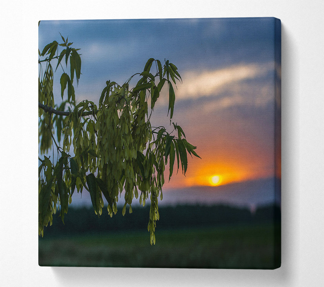 A Canvas Print of Golden Hour Silhouette Canvas Wall Art
