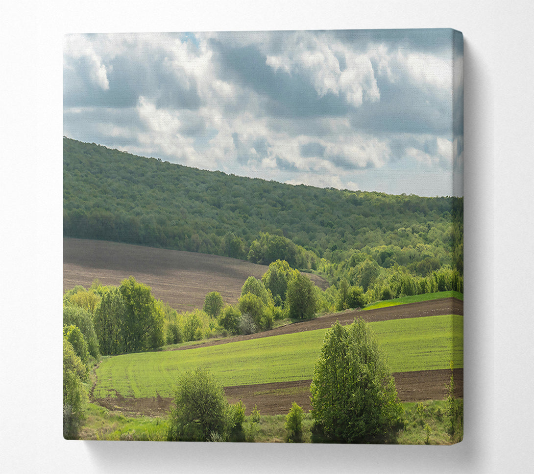  A Canvas Print of Green Hills And Clouds Canvas Wall Art