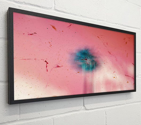 Pink Sky Burst