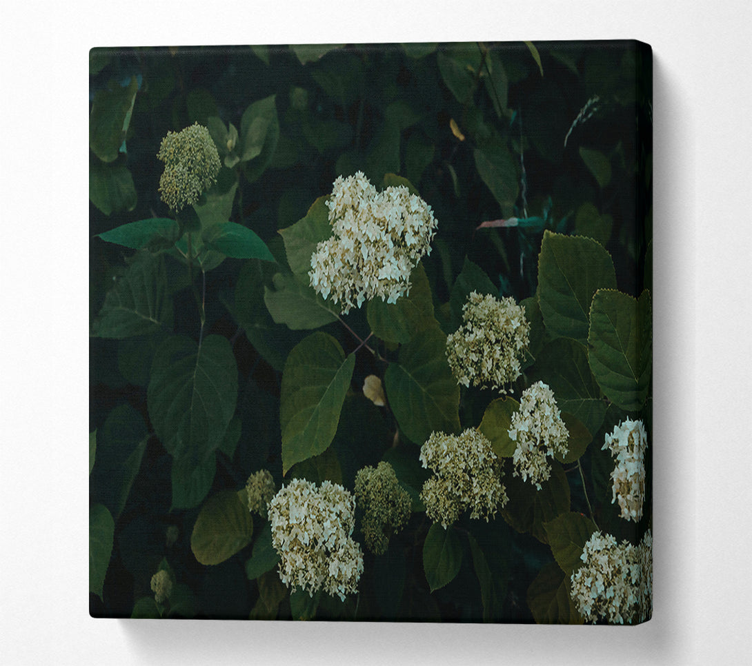  A Canvas Print of Emerald Green Blooms Canvas Art