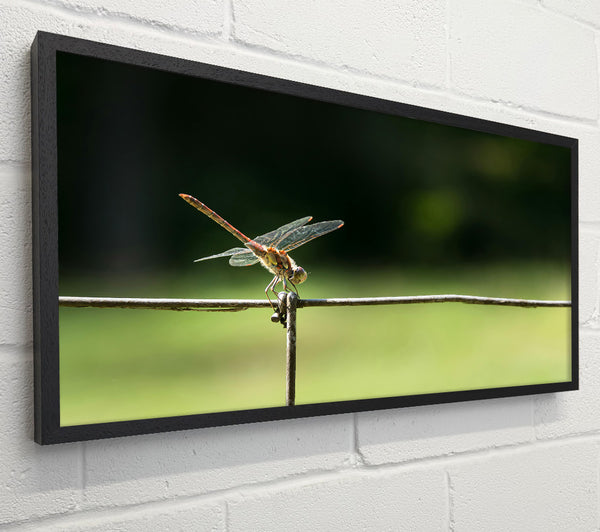 Red Dragonfly On Wire
