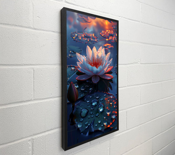 Blue Water Lily Bloom