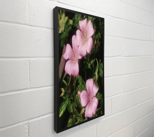 Soft Pink Bloom