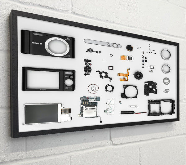 Black Camera Disassembled