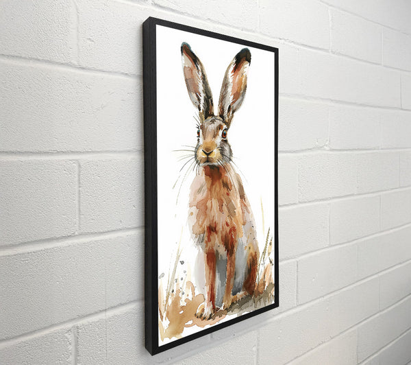 Golden Brown Hare