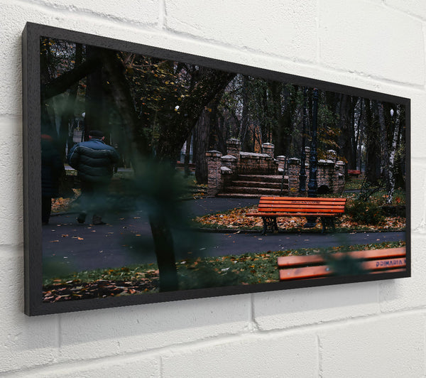 Autumnal Orange Bench