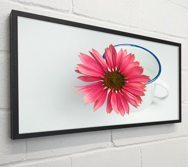 Pink Bloom In White Cup