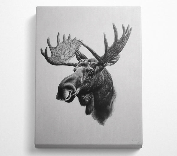  A Canvas Print of Black & White Moose Portrait Canvas Art
