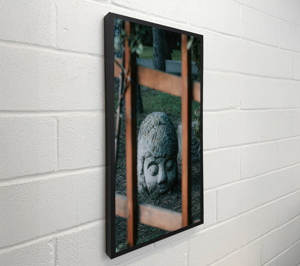 Stone Gaze Through Grey Bars