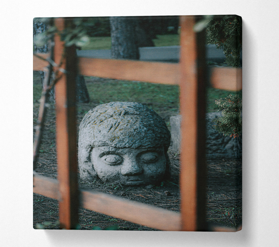  A Canvas Print of Stone Gaze Through Grey Bars Canvas Print