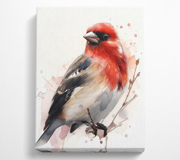  A Canvas Print of Crimson Watercolor Bird Canvas Wall Art