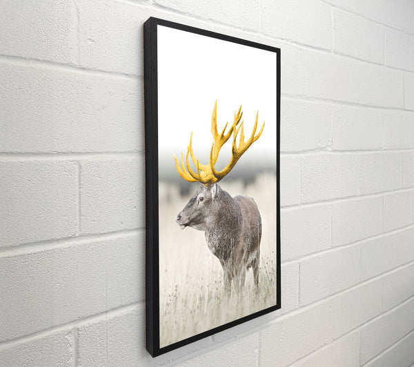 Gold Stag Looking