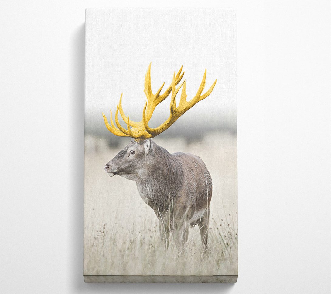  A Canvas Print of Gold Stag Looking Canvas Art