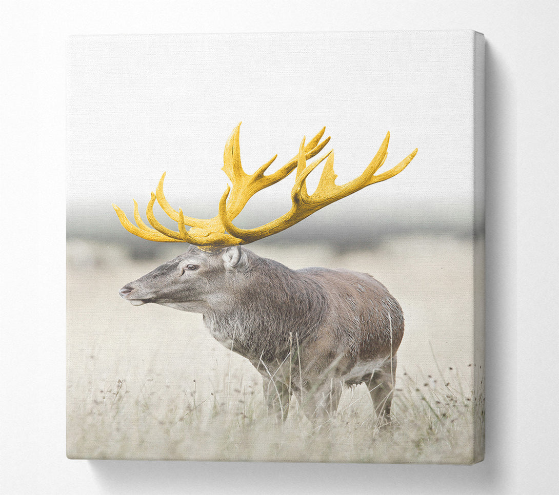  A Canvas Print of Gold Stag Looking Canvas Art