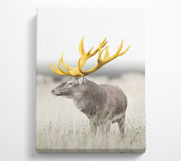  A Canvas Print of Gold Stag Looking Canvas Art