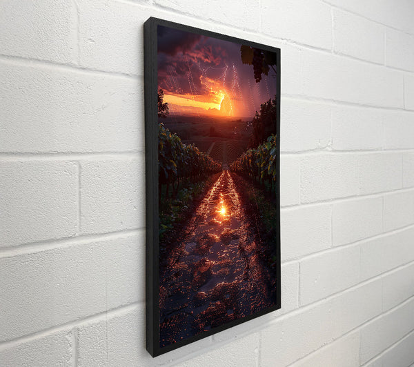 Orange Sunset Path
