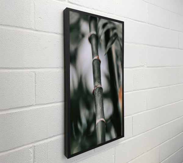 Dark Green Bamboo Stem
