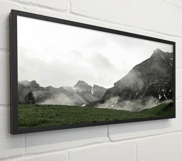 Grey Mountain Mist