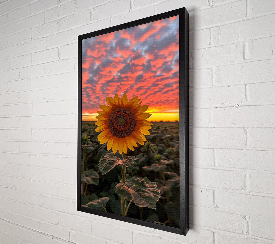  A Canvas Print of Golden Sunset Sunflower Canvas Wall Art