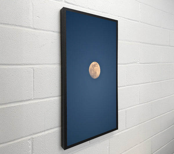 Blue And White Moon