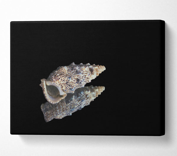  A Canvas Print of Brown Speckled Shell Canvas Art