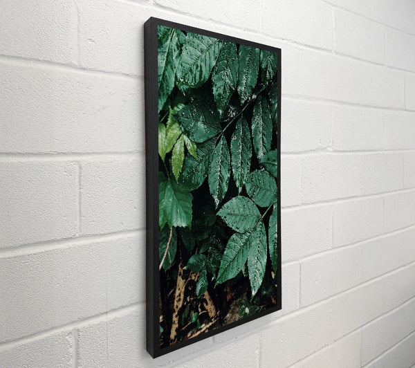 Emerald Green Foliage