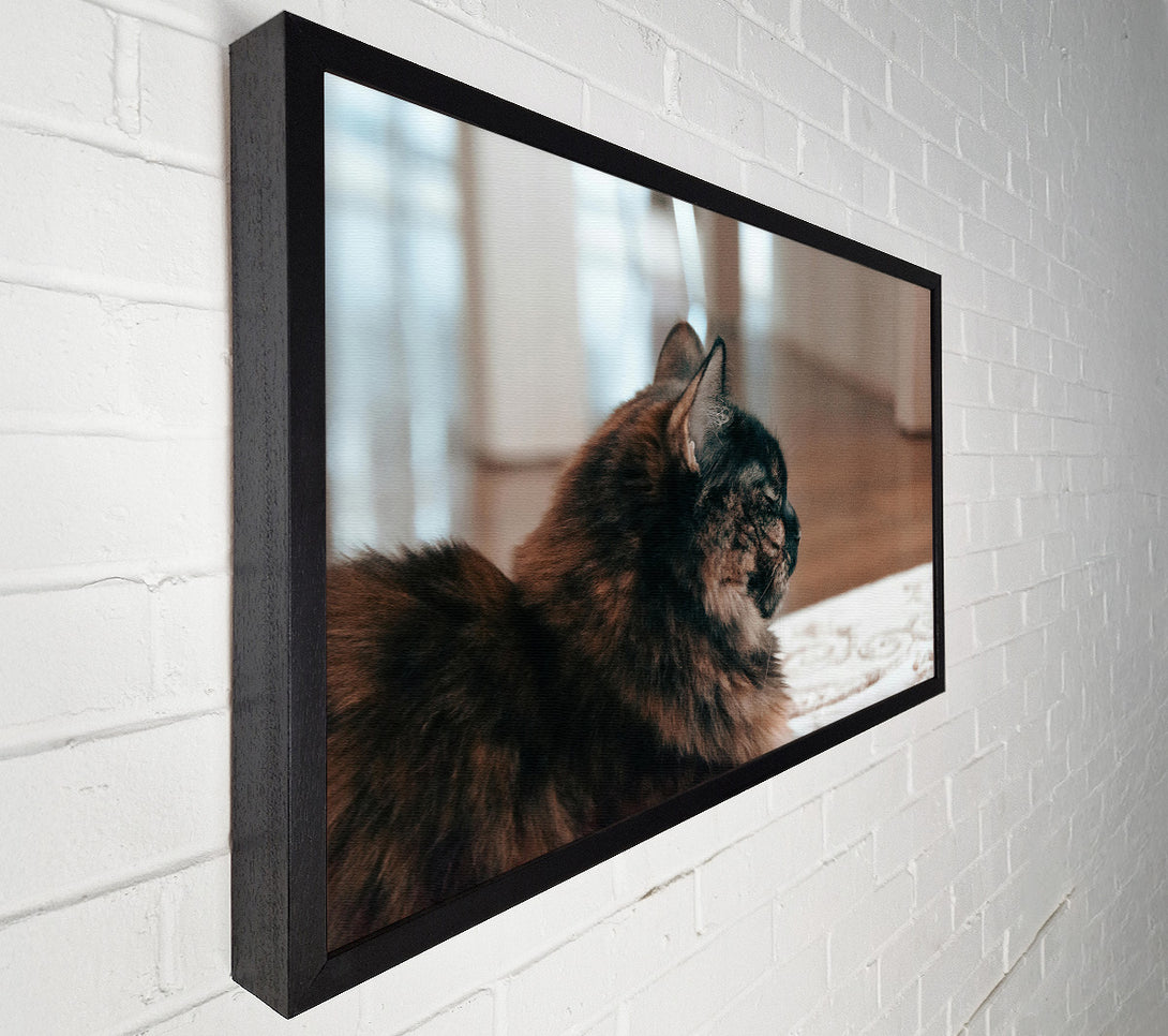  A Canvas Print of Black Feline Reflection Canvas Print