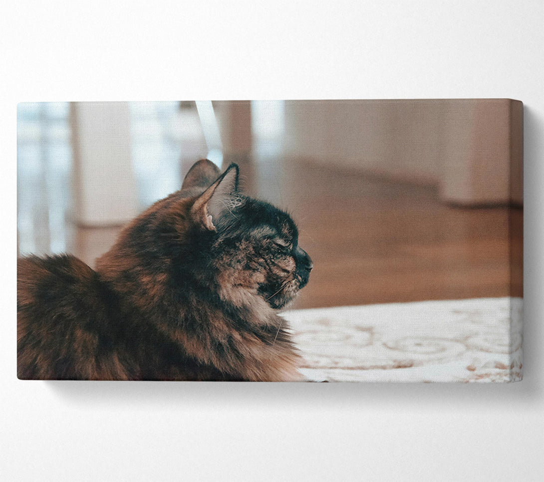  A Canvas Print of Black Feline Reflection Canvas Print