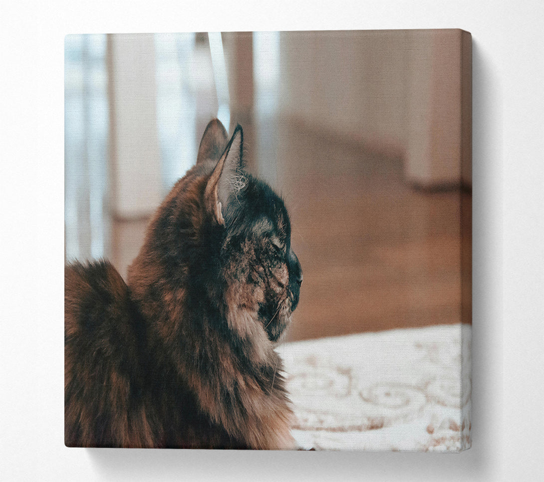  A Canvas Print of Black Feline Reflection Canvas Print