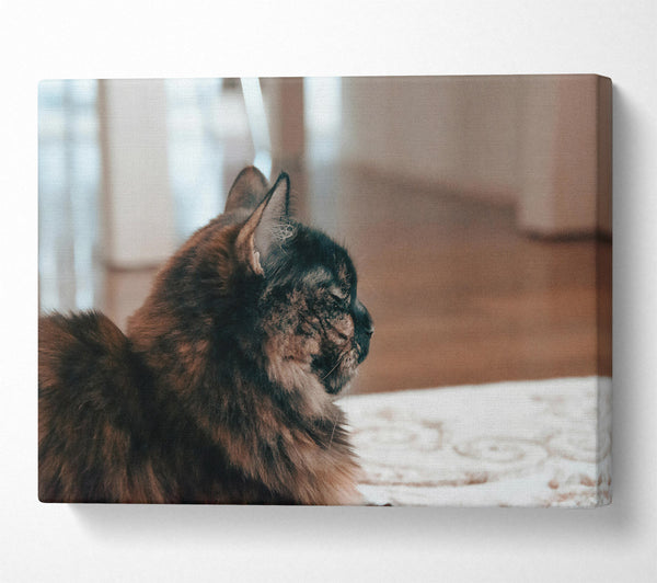  A Canvas Print of Black Feline Reflection Canvas Print