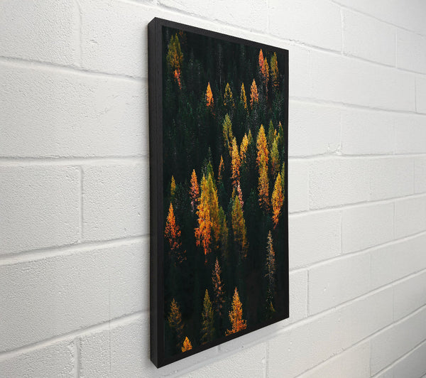 Golden Canopy Forest
