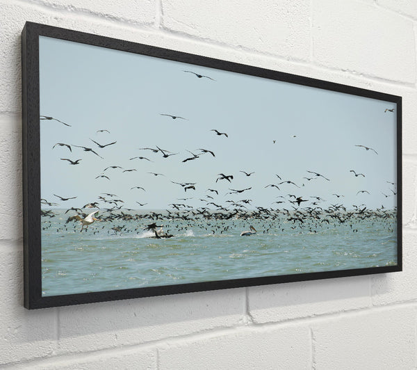 Azure Avian Frenzy