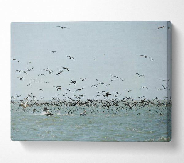  A Canvas Print of Azure Avian Frenzy Canvas Print