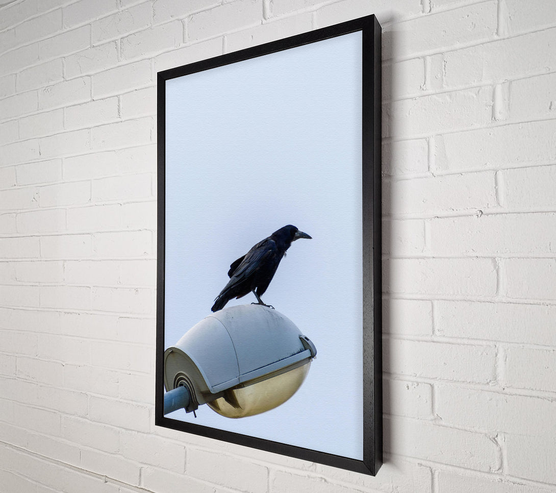  A Canvas Print of Black Raven On Light Post Canvas Wall Art