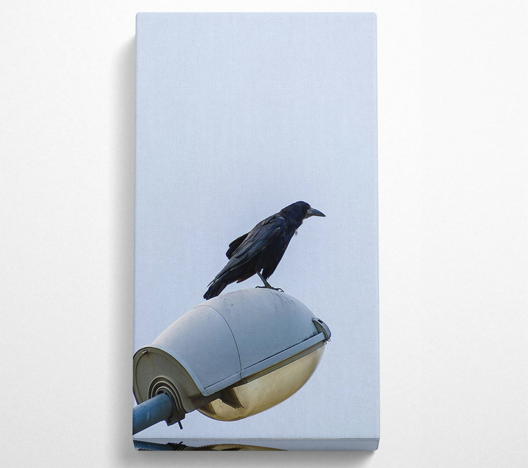 A Canvas Print of Black Raven On Light Post Canvas Wall Art