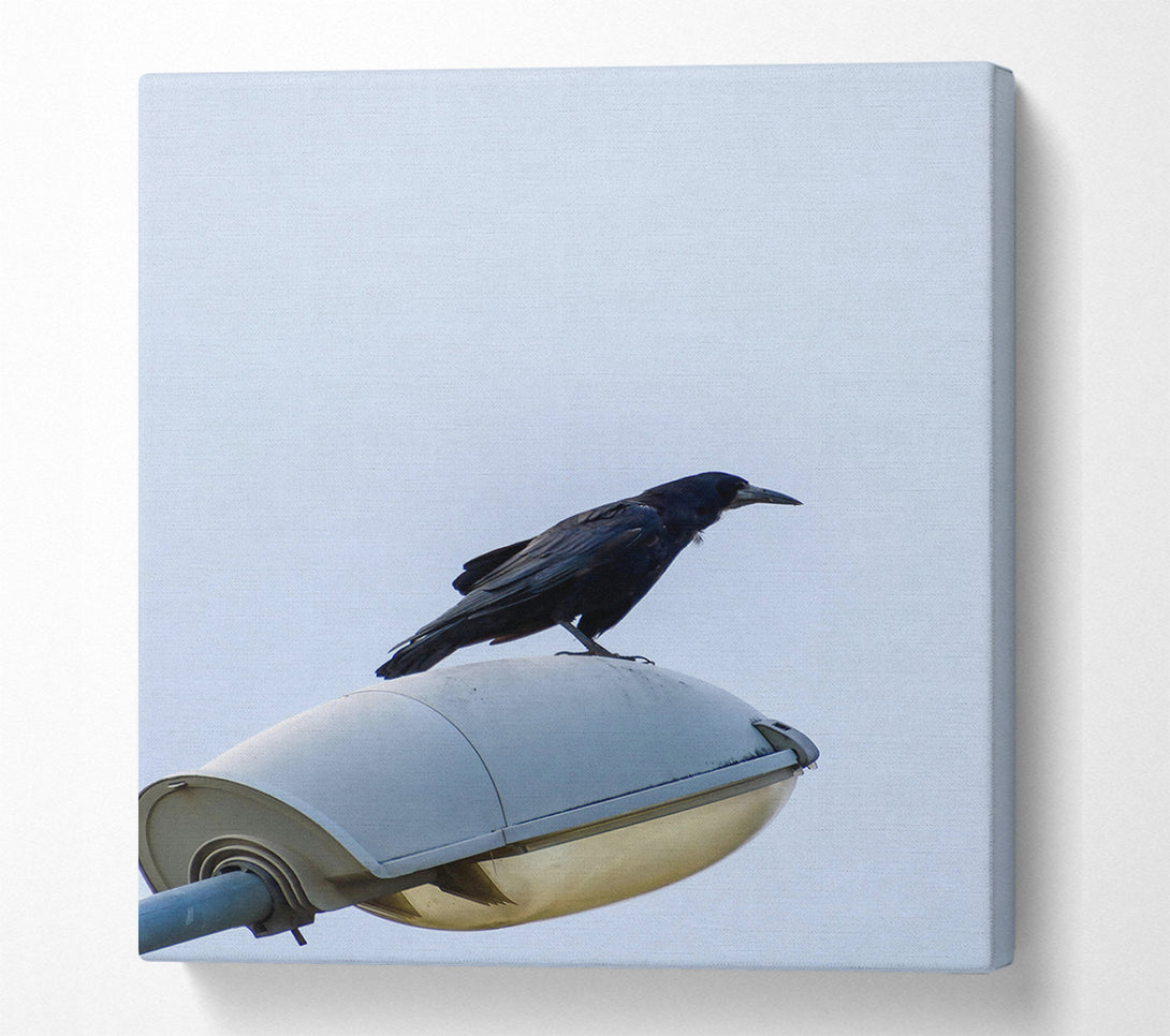  A Canvas Print of Black Raven On Light Post Canvas Wall Art