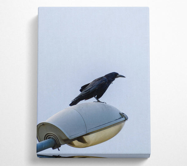  A Canvas Print of Black Raven On Light Post Canvas Wall Art