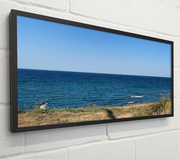 Azure Coastal Horizon