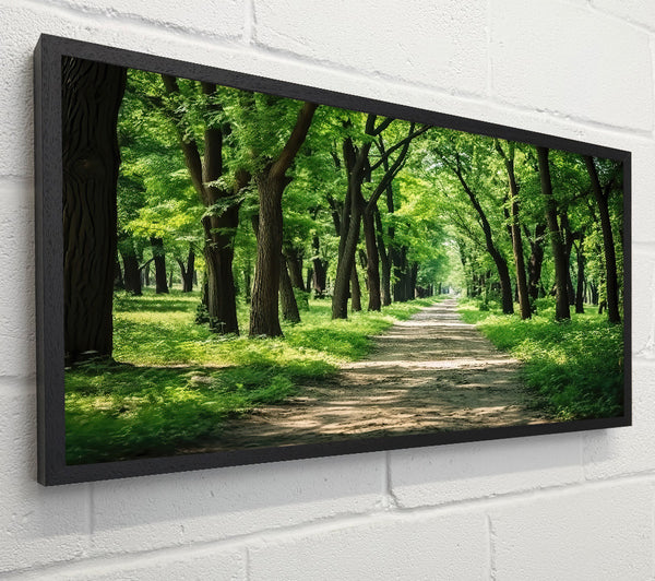 Green Forest Path