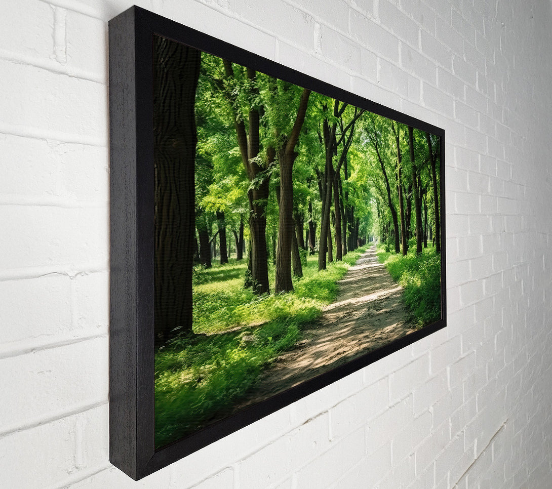  A Canvas Print of Green Forest Path Canvas Art