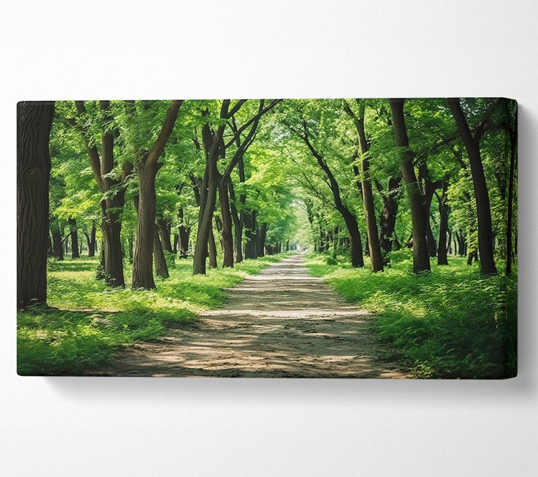  A Canvas Print of Green Forest Path Canvas Art