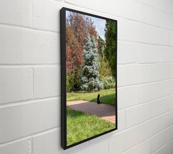 Blue Spruce Sojourn