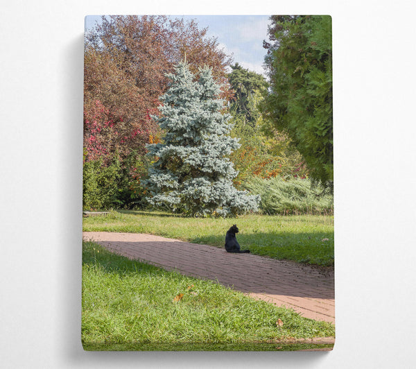 Blue Spruce Sojourn