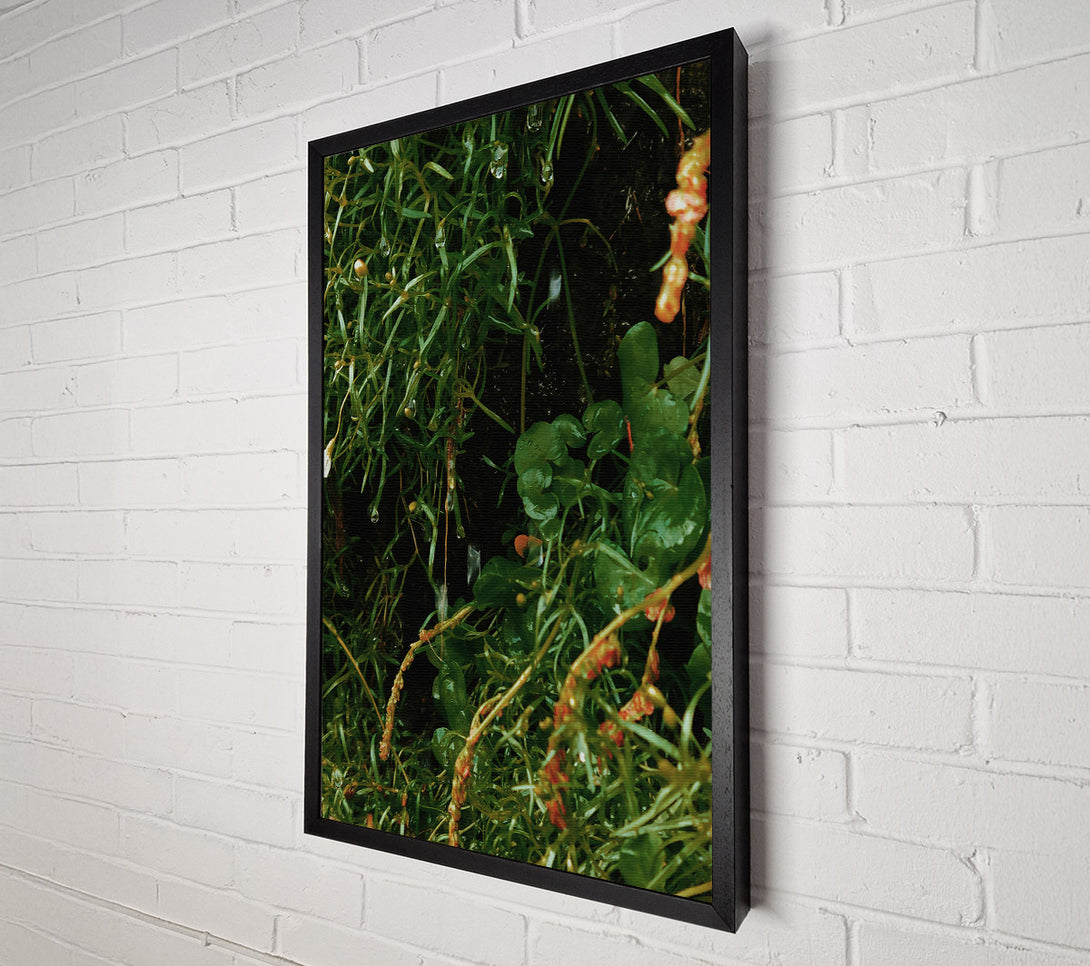  A Canvas Print of Emerald Dew Drops Canvas Wall Art