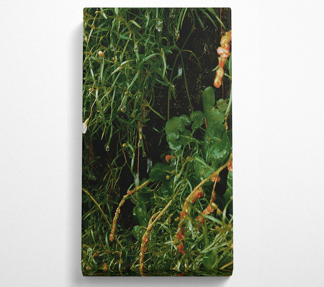  A Canvas Print of Emerald Dew Drops Canvas Wall Art