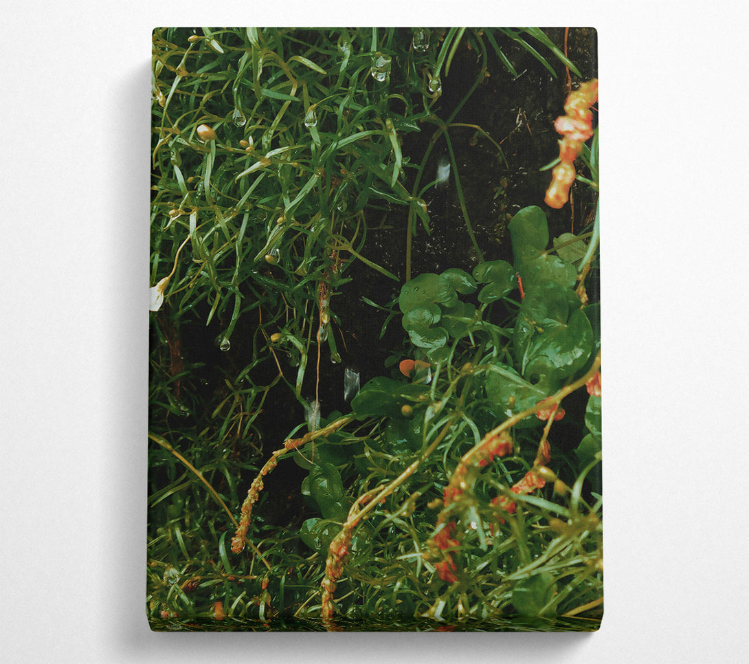  A Canvas Print of Emerald Dew Drops Canvas Wall Art