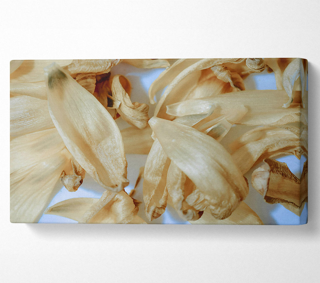 A Canvas Print of Creamy Petal Symphony Canvas Wall Art