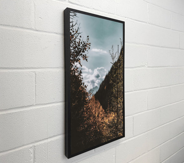 Golden Forest Vista